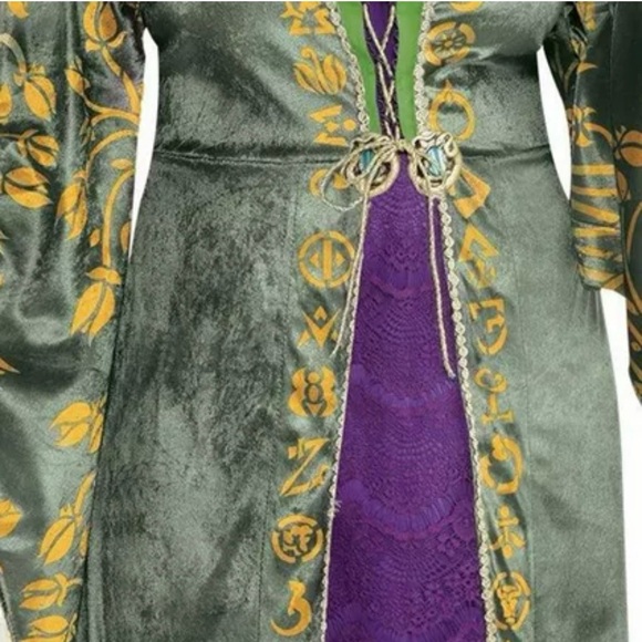 🆕 Hocus Pocus Winnie Plus Size Women Costume - Picture 3 of 11